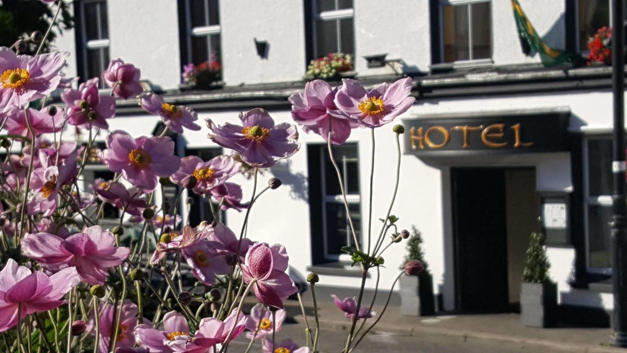 Nesbitt Arms Boutique Hotel Ardara Eksteriør bilde